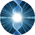 A Light-Space-Time Quantum-Computational Model of Subtle-DNA & Genetics